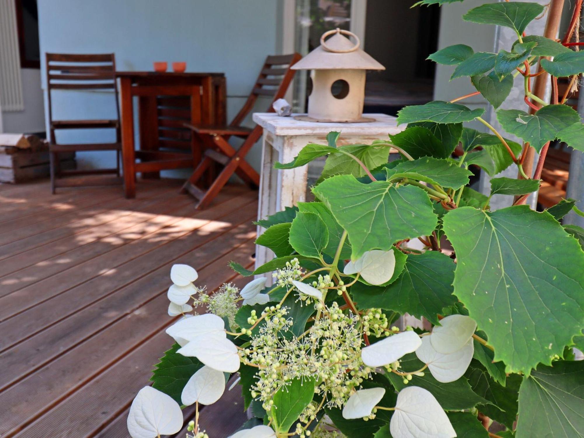 Modern Apartment With Garden In Wißmar Exteriér fotografie